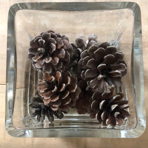 Beautiful Square Heavy Glass Vase with 1 Dozen (12) Northeast Pine Cones 7” Vase - Picture 3 of 8